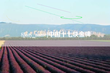 福建中国十七块金牌
