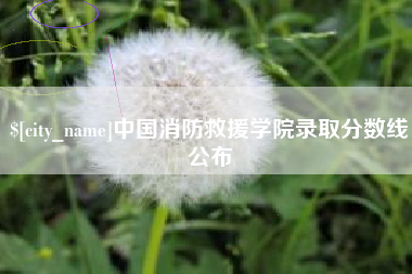 福建中国消防救援学院录取分数线公布