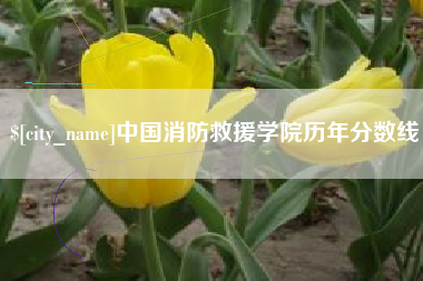福建中国消防救援学院历年分数线