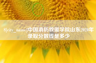 福建中国消防救援学院山东2020年录取分数线是多少