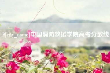 福建中国消防救援学院高考分数线