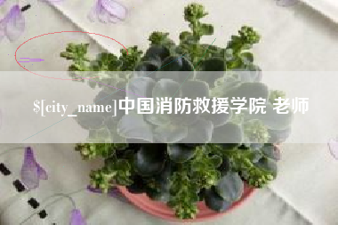福建中国消防救援学院 老师