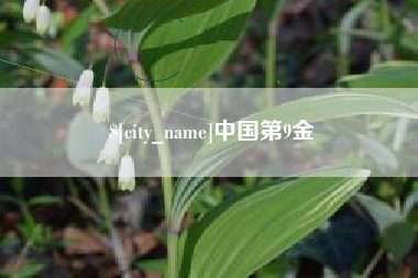 福建中国第9金