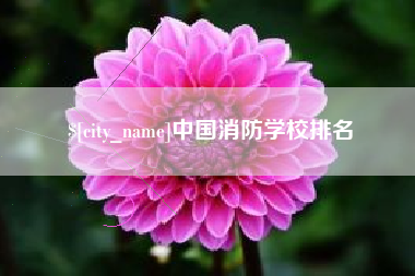 福建中国消防学校排名