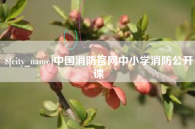 福建中国消防官网中小学消防公开课