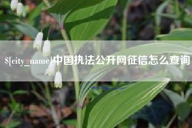 福建中国执法公开网征信怎么查询