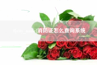 福建消防证怎么查询系统