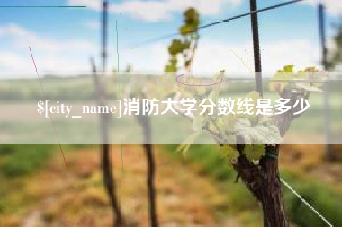 福建消防大学分数线是多少