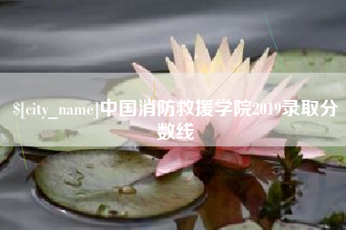 福建中国消防救援学院2019录取分数线