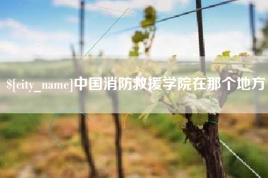 福建中国消防救援学院在那个地方