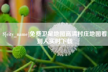 福建免费卫星地图高清村庄地图看到人实时下载