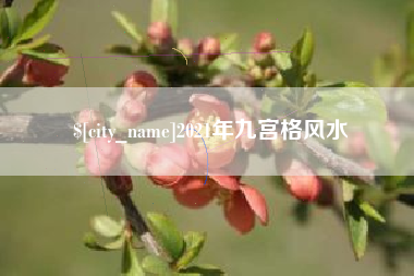 福建2021年九宫格风水