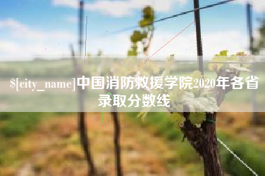 福建中国消防救援学院2020年各省录取分数线