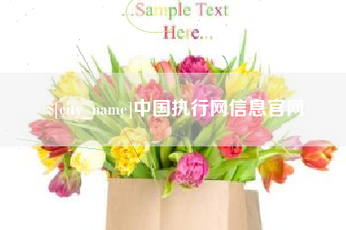 福建中国执行网信息官网