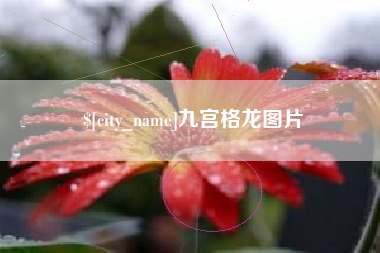 福建九宫格龙图片