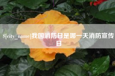 福建我国消防日是哪一天消防宣传日