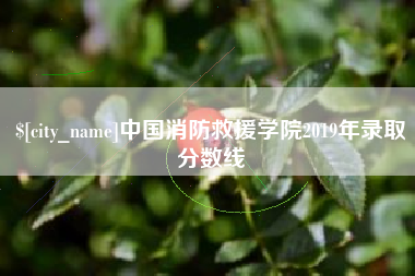 福建中国消防救援学院2019年录取分数线