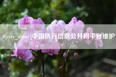 福建中国执行信息公开网平台维护