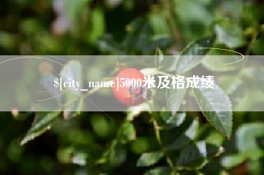 福建5000米及格成绩