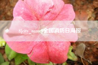 福建全国消防日海报