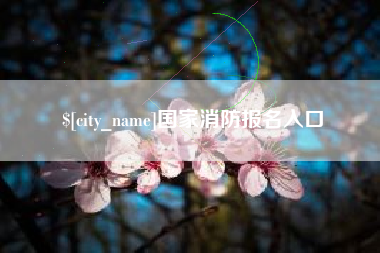 福建国家消防报名入口
