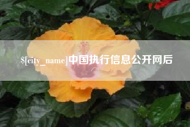 福建中国执行信息公开网后