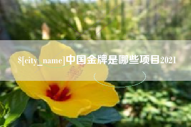 福建中国金牌是哪些项目2021