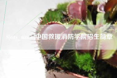 福建中国救援消防学院招生简章