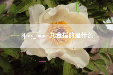 福建九金指的是什么