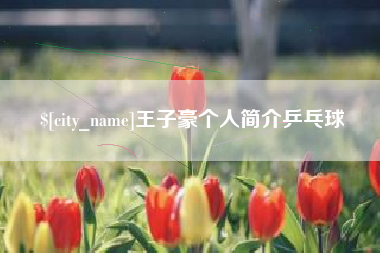 福建王子豪个人简介乒乓球