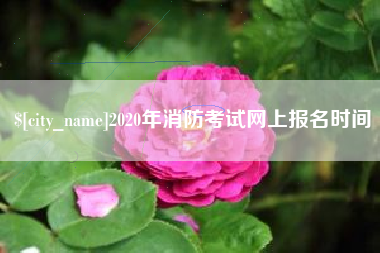 福建2020年消防考试网上报名时间