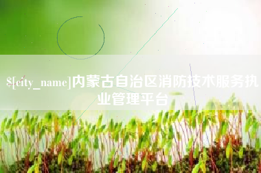 福建内蒙古自治区消防技术服务执业管理平台