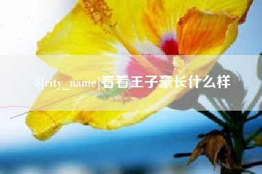 福建看看王子豪长什么样