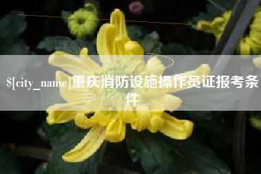 福建重庆消防设施操作员证报考条件