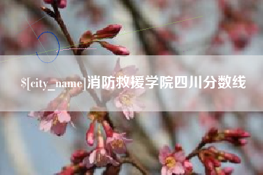 福建消防救援学院四川分数线