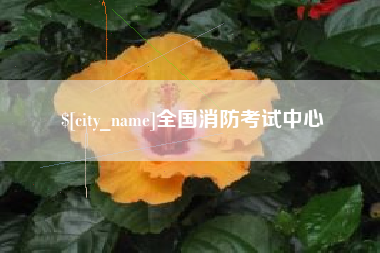 福建全国消防考试中心