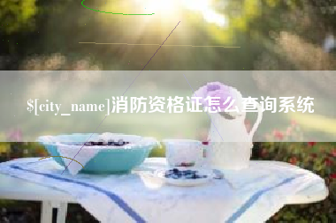 福建消防资格证怎么查询系统
