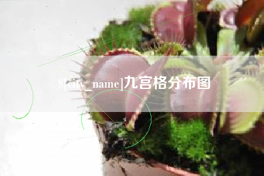 福建九宫格分布图
