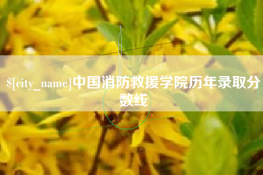 福建中国消防救援学院历年录取分数线