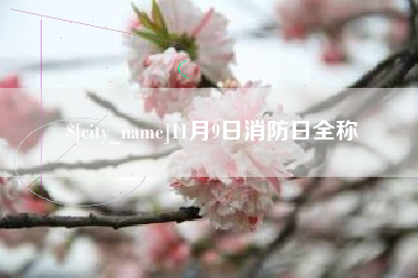 福建11月9日消防日全称