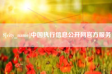 福建中国执行信息公开网官方服务