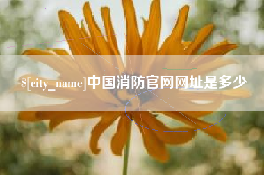 福建中国消防官网网址是多少