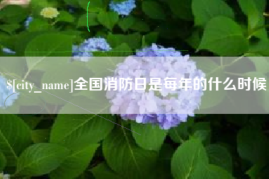 福建全国消防日是每年的什么时候