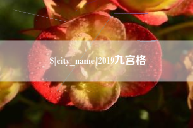 福建2019九宫格