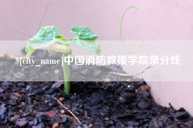 福建中国消防救援学院录分线