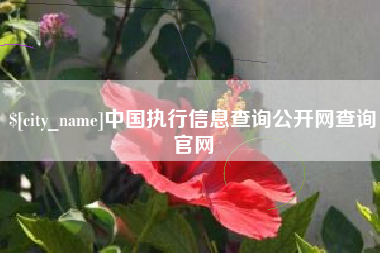 福建中国执行信息查询公开网查询官网