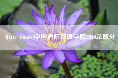 福建中国消防救援学院2020录取分