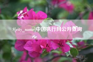 福建中国执行网公开查询