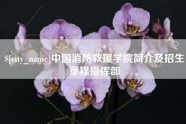福建中国消防救援学院简介及招生章程指挥部