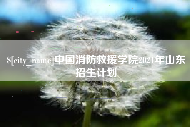 福建中国消防救援学院2021年山东招生计划